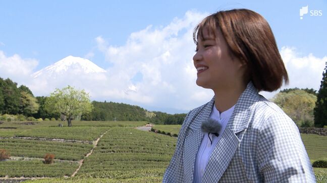 富士山と茶畑を同時に!絶景スポット「大淵笹場」雲に隠れていた富士山が10分後に…【くるちゃんさんぽ】|TBS NEWS DIG