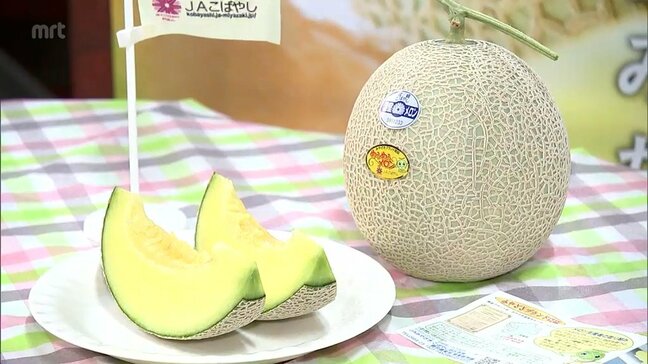 小林市で生産の「めろめろメロン」今季の初競り　最高値は5玉入り1ケース15万円|TBS NEWS DIG