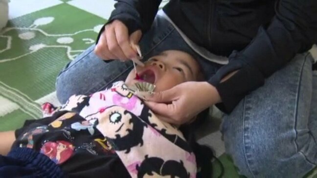 「おやつは1日2回まで」 “虫歯予防デー”に幼稚園で親子向け歯みがき教室 愛媛・松山市|TBS NEWS DIG