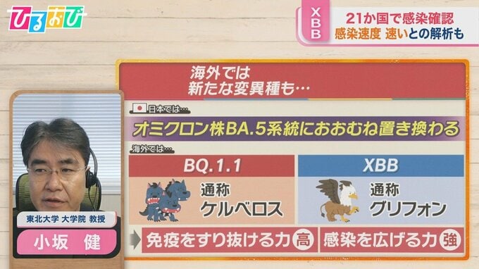 第8波の入口か…“ケルベロス”“グリフォン”海外で新たな変異株　日本では4歳以下のワクチン接種開始【ひるおび】|TBS NEWS DIG