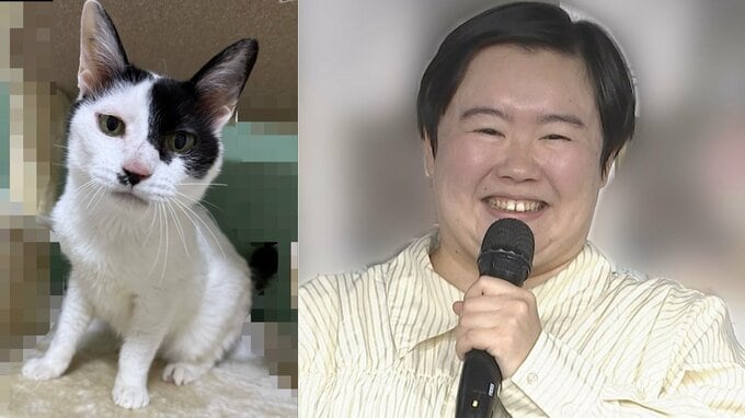 【 やす子 】保護猫2匹目「ツキ」を紹介　「実は千葉に移住して保護猫9匹飼ってました！」　前回は1匹目の「ハッピー」を紹介|TBS NEWS DIG