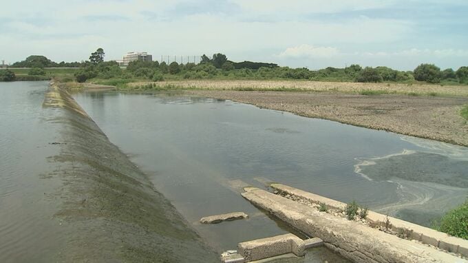 取水制限15%に引き上げへ…今後も少雨が続いた場合さらに制限率を引き上げる可能性…上流ダムの貯水率は平年の7割程度　鳥取・日野川|TBS NEWS DIG