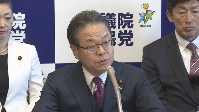 自民・世耕参院幹事長　所得税減税「一定の所得制限をかけてもいいのではないか」