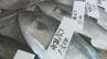 丸々一本買いまで…県内外からその味求め”ブリの聖地”氷見に　「ひみ寒ぶり宣言」待ち望む声　富山　|　富山のニュース｜天気・防災｜チューリップテレビ