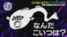 目が8個ある謎の生物“ヤツメウナギ”って！？空海が目を開眼させたという伝説…どんな姿なのか徹底調査　|　愛媛のニュース - Nスタえひめ｜あいテレビは6チャンネル