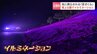 【絶景】満開の芝ざくらが光に照らされる！滝上公園で初のイルミネーション　21日から3日間限定　今週末見頃を迎える幻想的な風景　|　北海道のニュース｜HBC北海道放送