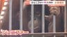 インドネシアからやってきた「ジェニファー」ととべ動物園「ハヤト」お披露目セレモニー　|　愛媛のニュース - Nスタえひめ｜あいテレビは6チャンネル