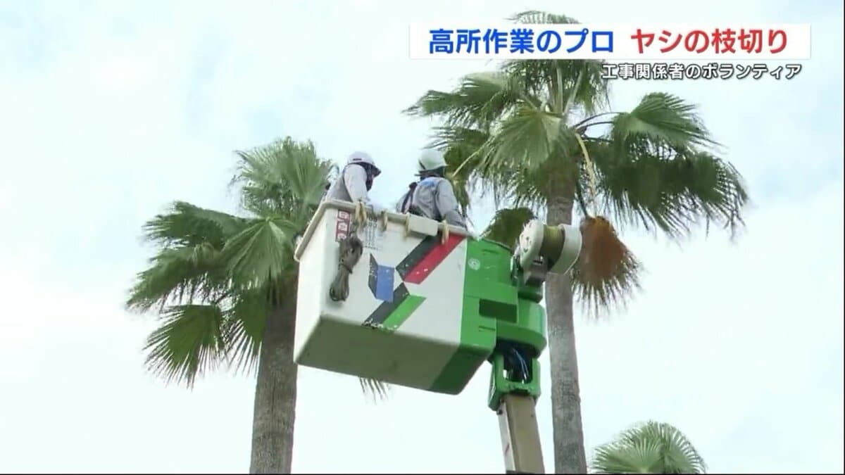 九電工から「クラフティア」へ 毎年恒例の高所作業車を使った剪定作業 | TBS NEWS DIG