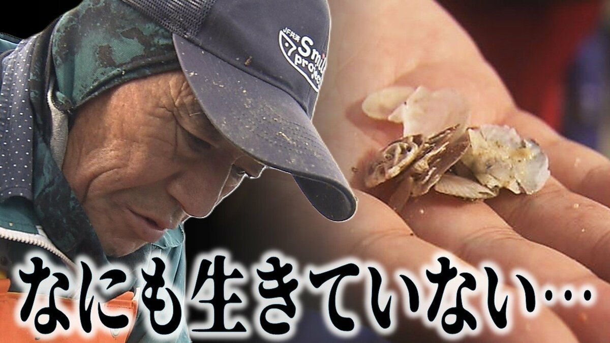漁師で生活できなくなる…」ホタテ大量死の現場 稚貝がほぼ全滅のところ