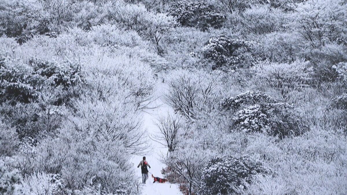 108点の力作を集めた写真展が開幕　幻想的な冬景色や雄大な自然を写した渾身の作品も