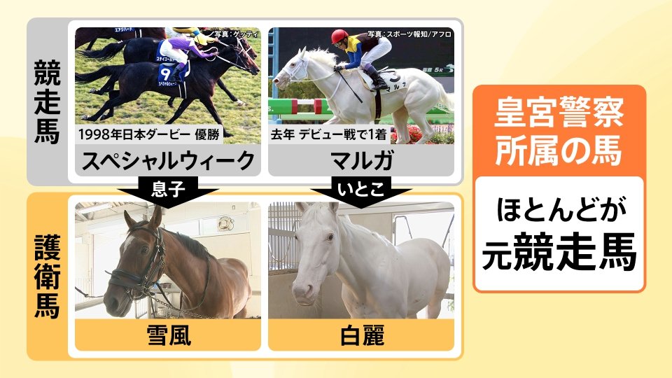 天皇陛下も出席の視閲式 命をかける護衛の最前線、皇宮警察“知られざる