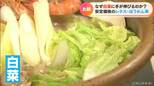 寒い!鍋に欠かせない「白菜」は安い!…出荷量4位の愛知の農家は「農資材は高騰しているが たくさん食べてもらうことが励み」 | 名古屋・愛知・岐阜・三重のニュース【CBC news】 | CBC web