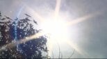 【熱中症の疑いで病院搬送】ビニールハウスの脇で杖持って倒れ…長野・高森町の80代女性死亡…帰宅した家族が見つける【熱中症警戒アラート】22日の最高気温は飯田で38度、松本で37度、長野で36度予想|TBS NEWS DIG