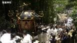 塩釜神社で「花まつり」　氏子ら500人が神輿で巡行　宮城|TBS NEWS DIG