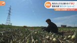 「お手伝い」と「旅」が融合!? 大人気“おてつたび”で地域と若者をマッチング|TBS NEWS DIG