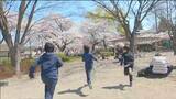 【桜スケッチ】かつて沼だった公園に咲くサクラとは　仙台　|　宮城のニュース│tbc NEWS│tbc東北放送