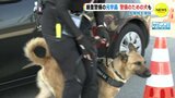 警備のための犬も投入　Ｇ７広島サミット 厳重警戒　主会場周辺の元宇品　|　RCC NEWS | 広島ニュース | RCC中国放送