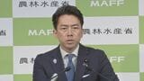 小泉農水大臣「コメの輸入総量は増えない」 日米関税合意 トランプ大統領が大統領令に署名|TBS NEWS DIG