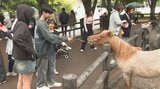 GW最終日、小雨まじりの天気も観光地は大にぎわい 大分 | 大分のニュース|OBS NEWS|大分放送