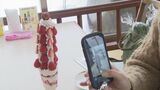高さ30センチ、紅ほっぺ24個使用「イチゴツリーパフェ」がSNSで人気に…町をイチゴの産地に　|　BSSニュース | BSS山陰放送