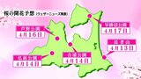 サクラの開花予想・青森市は1週間前と変わらず4月14日 名所・弘前公園も4月14日開花・20日満開の早咲きに|TBS NEWS DIG