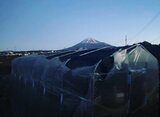 「目の前で竜巻のようなものができて通過した」富士山麓で“局地的突風”か　鶏舎やビニールハウスが被害　|　静岡のニュース | SBSNEWS | 静岡放送