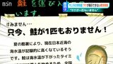 「鮭が一匹もおりません!」4年前の稚魚に異変か?それとも猛暑の影響か??サケのまちから『サケが消えた…』新潟・村上市|TBS NEWS DIG