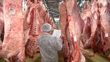 「他県に負けない美味しさ」岡山県産の食肉の品質を競う岡山県枝肉共進会 最高1キロ3975円の高値【岡山】|TBS NEWS DIG