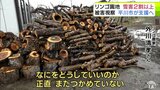 「なにをどうしていいのか…」“豪雪”で苦悩する農家 2割以上のリンゴの木が被害受けている園地も… 平川市・長尾忠行市長が被害のリンゴ園地を視察 支援乗り出す考え示す 青森県 | 青森のニュース│ATV NEWS│青森テレビ