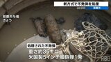 避難範囲が従来の3分の1に 新たな「耐爆容器」で不発弾処理 那覇市の住宅街で見つかった沖縄戦当時の艦砲弾 | 沖縄のニュース|RBC 琉球放送