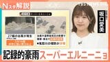 2年ぶりに発生「エルニーニョ現象」、海面水温「+2℃」がもたらす「スーパーエルニーニョ」の恐ろしさ【Nスタ解説】|TBS NEWS DIG