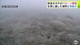 ホタテは生育に適した場所に移動か… 青森県の陸奥湾内で放流のホタテの生育状況などを把握するために水中ドローン活用の調査実施も ホタテ確認されず 一方で「死んだ貝」も見つからず | 青森のニュース│ATV NEWS│青森テレビ