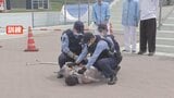 神奈川・大磯ロングビーチでテロ発生を想定した訓練実施 刃物と爆発物を持った不審者の侵入を想定|TBS NEWS DIG