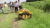 河川の環境保全に活用 リモコン式草刈り機の体験会 | MRTニュース | MRT宮崎放送