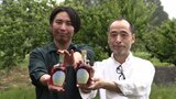岩手・金ケ崎町の歴史に思いをはせて~安倍一族の拠点にちなんだリキュールが誕生|TBS NEWS DIG