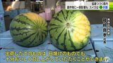 猛暑で野菜の生育に影響は？市場関係者「深刻な影響はない」スイカは甘さ凝縮で売れ行き好調も“日焼け”が悩み|TBS NEWS DIG