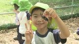 子どもたちも大はしゃぎ!カブトムシドーム11日再オープン、640匹放虫 福島・田村市|TBS NEWS DIG