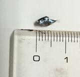 「シラス干し」パックに”フグの稚魚”混入か　佐賀県「絶対に食べないで」　|　福岡のニュース｜RKB NEWS｜RKB毎日放送