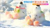 モッタイナイを「カラフル」に!廃棄野菜の“絵の具”で『雪だるまコンテスト』新潟市|TBS NEWS DIG