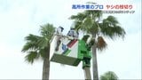 九電工から「クラフティア」へ 毎年恒例の高所作業車を使った剪定作業 | 熊本のニュース|RKK NEWS|RKK熊本放送