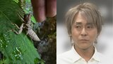 【 ヒロシ 】「ヤゴの抜け殻じゃないか!」瑞々しい葉の上からお知らせ フォロワー注目「涼しげな清流のお届け嬉しい!」「武運が良さげ」|TBS NEWS DIG