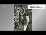 独創的な障害者アート 宮崎県内の作家が台湾での展覧会に出展 10代のアーティスト2人に注目 | MRTニュース | MRT宮崎放送