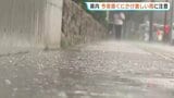 広島で1日夜にかけ雷を伴った激しい大雨のおそれ 多いところで120ミリ予想 土砂災害に十分注意|TBS NEWS DIG
