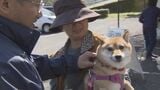 狂犬病の集団予防接種開始 大分市|TBS NEWS DIG