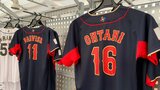 大谷翔平ユニフォームは多めに用意 侍ジャパン宮崎キャンプにWBC公式グッズ売り場設置|TBS NEWS DIG