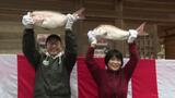重さ6キロの『鯛』が当たる餅まきが名物の「十日えびすまつり」 3日間で4万人の参拝客見込み | 愛媛のニュース - Nスタえひめ|あいテレビは6チャンネル