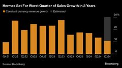 仏エルメスの増収率、数年ぶりの低水準か－中国需要低下の影響免れず| TBS CROSS DIG with Bloomberg