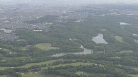 公園で男女2人を襲ったイノシシ 池に入ったまま姿を現さず そのまま沈んだか 所長は「生死の判定はまだわからない」 |TBS NEWS DIG