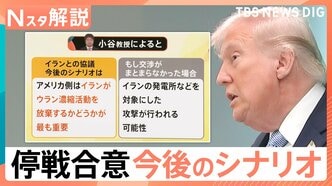 米・イラン即時停戦で合意、明海大・小谷教授「イランがウラン濃縮活動を放棄するかどうかが最も重要」【Nスタ解説】|TBS NEWS DIG