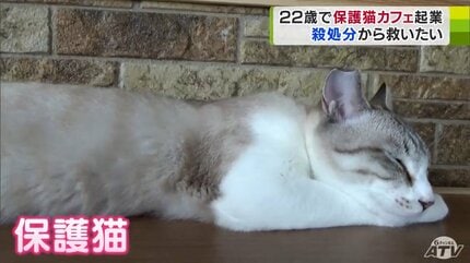 1人1人が責任をもって家族として受け入れてほしい」“不幸なネコ”を1匹